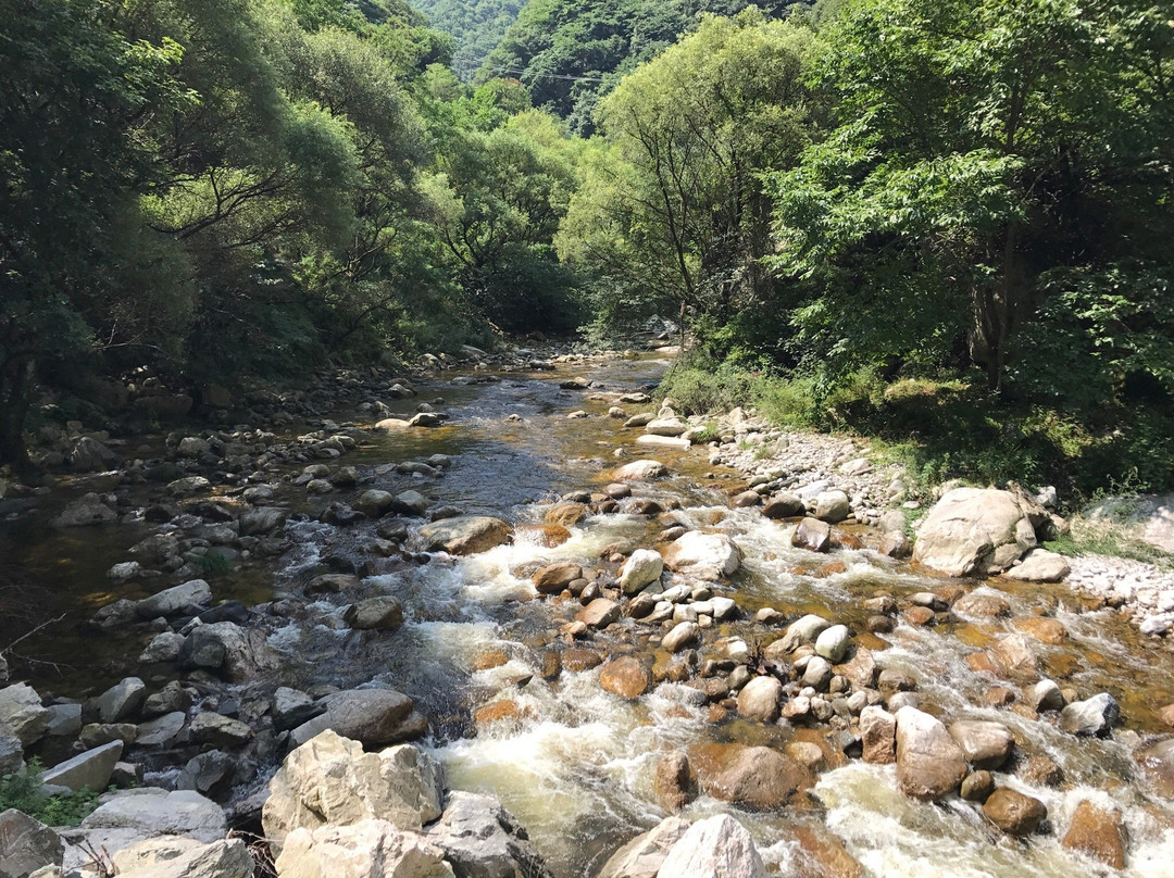 太平国家森林公园景点图片