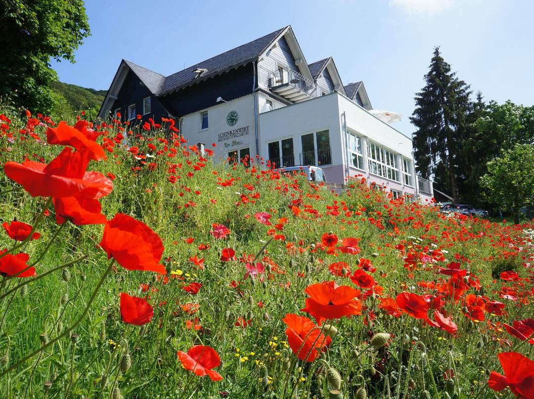 Scninkenwirt Waldhotel