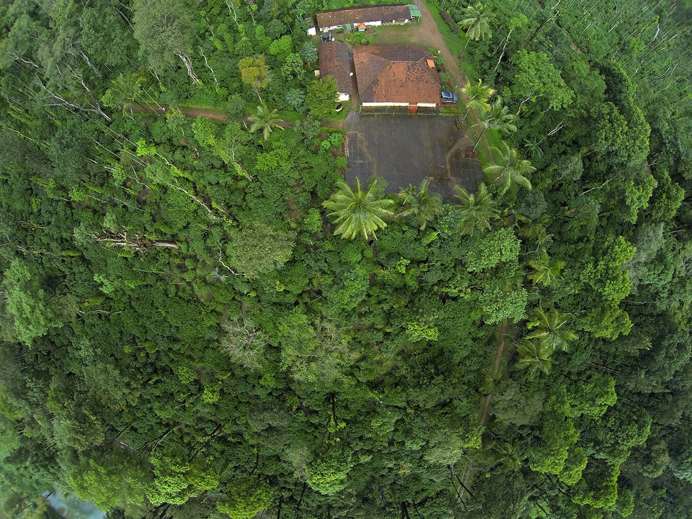 Machaan Wilderness Lodge-官方