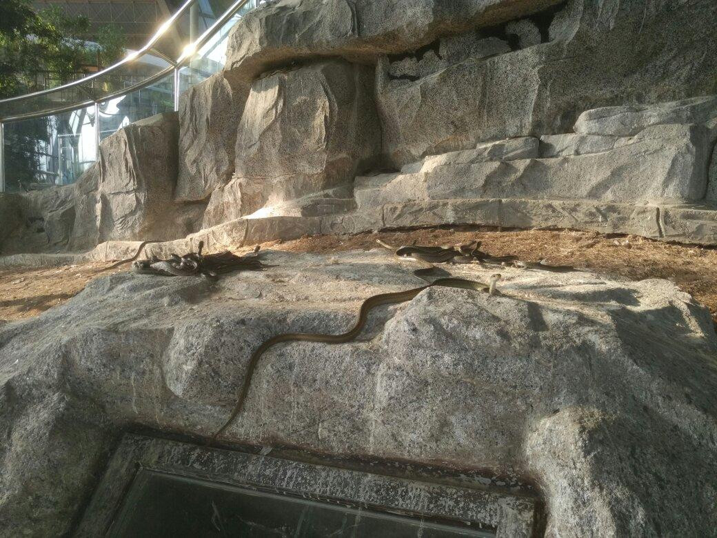Gallery 2