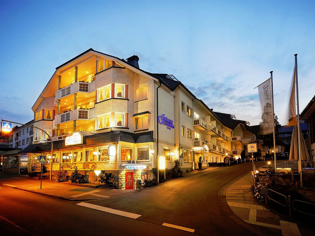 Willingen酒店住宿-Goebel's Landhotel