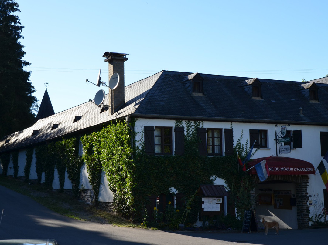 Diekirch District酒店住宿-Domaine du Moulin d'Asselborn