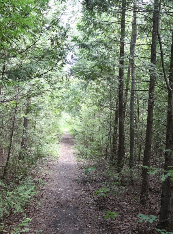 Smokey Head - White Bluff Provincial Nature Reserve景点图片