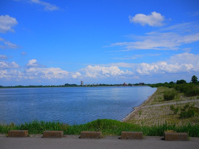 Watarase Yusuichi-野木町必去景点