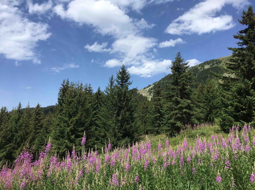 Golf de Meribel-梅瑞贝尔必去景点