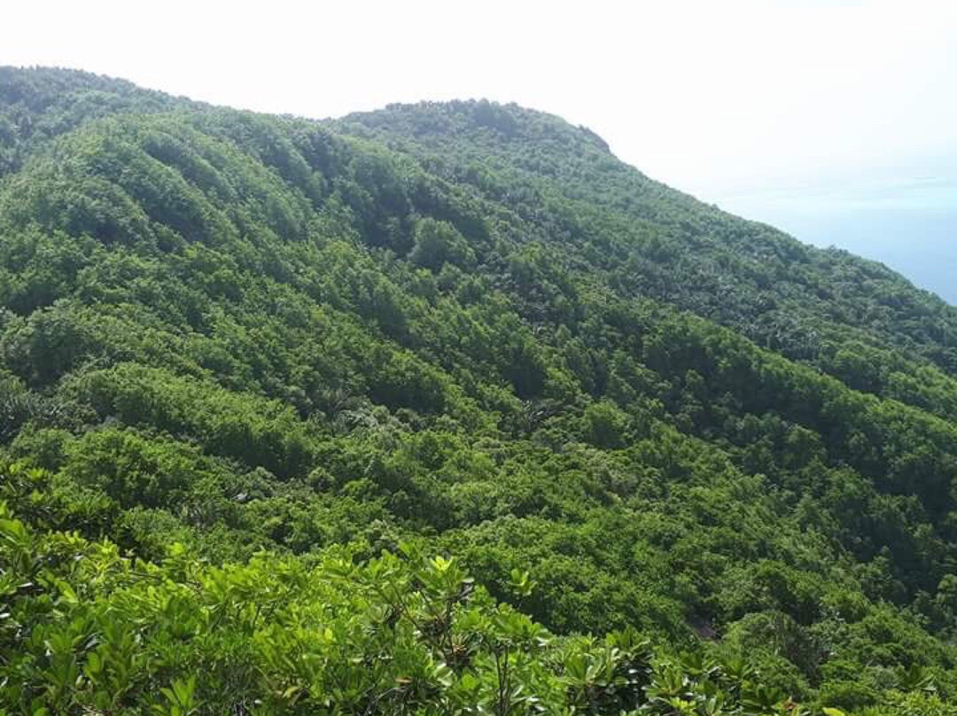 Sebastopol旅游景点-Montagne Du Lion