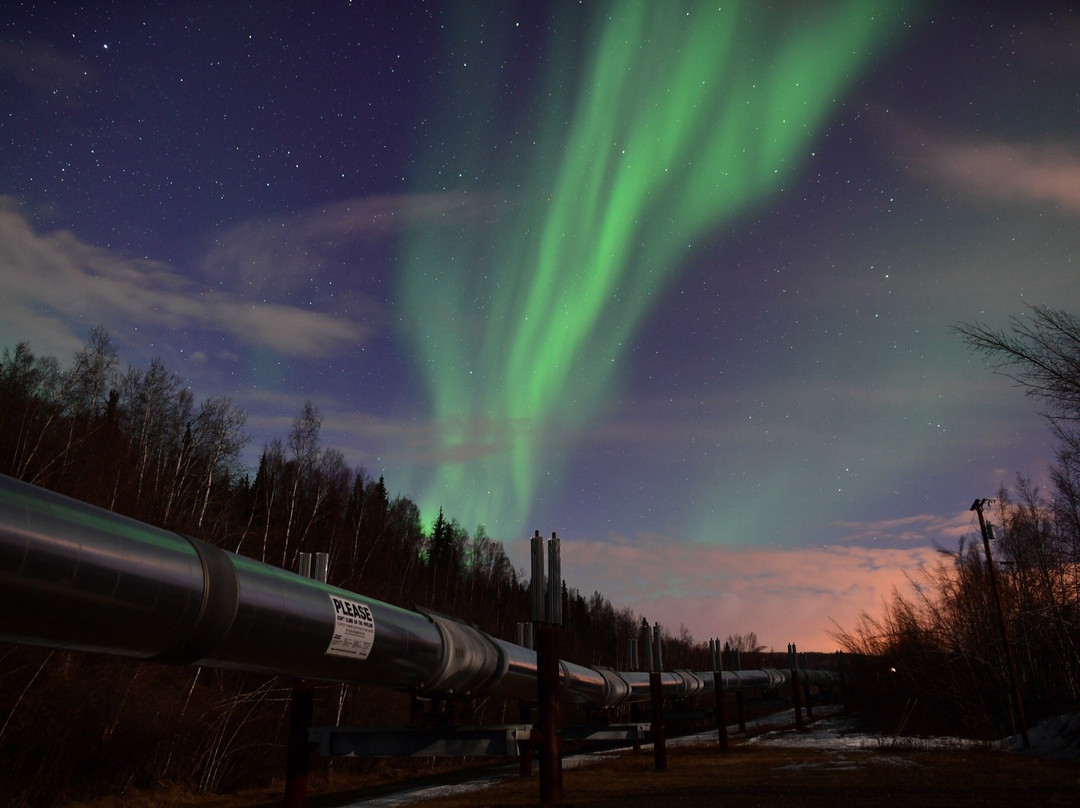 Alaska Borealis Tours & Taxi