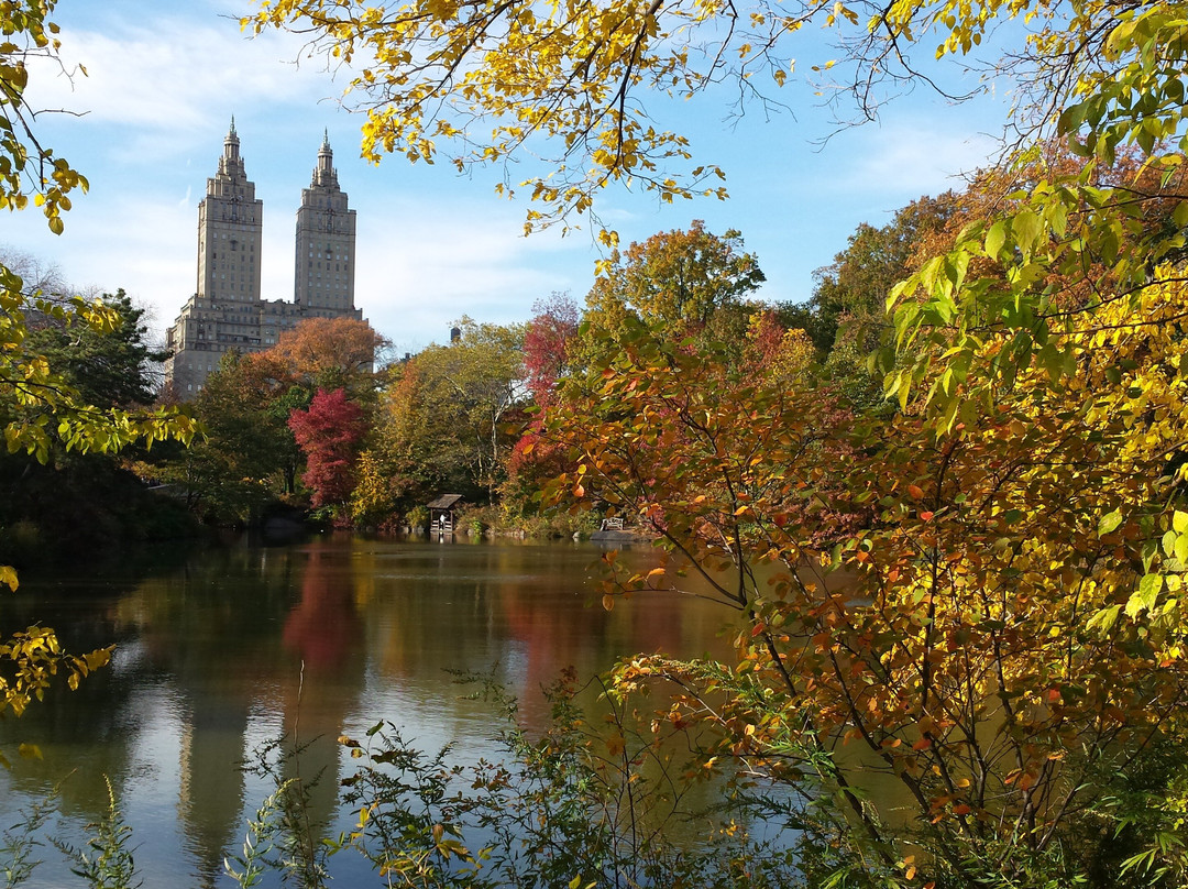Tales of the City tours-纽约市必去景点