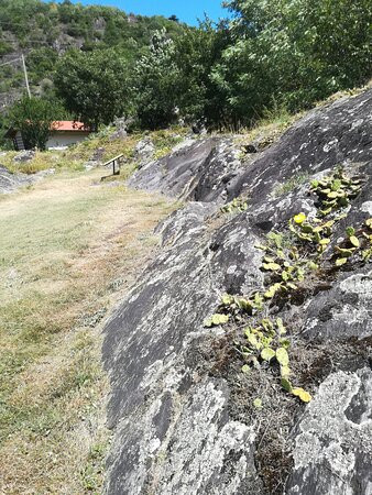 Parco Archeologico Comunale di Seradina-Bedolina景点图片