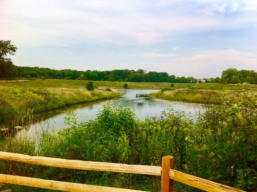 Des Plaines River Trail
