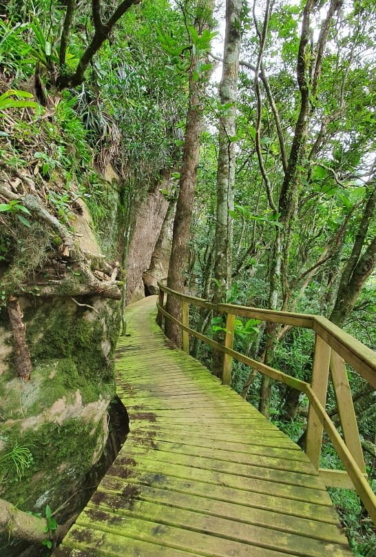 Vizinhos dos Canyons-Mampituba必去景点