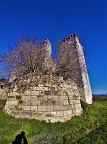 Donjons De Beaumont Ou Tour Négreteau景点图片