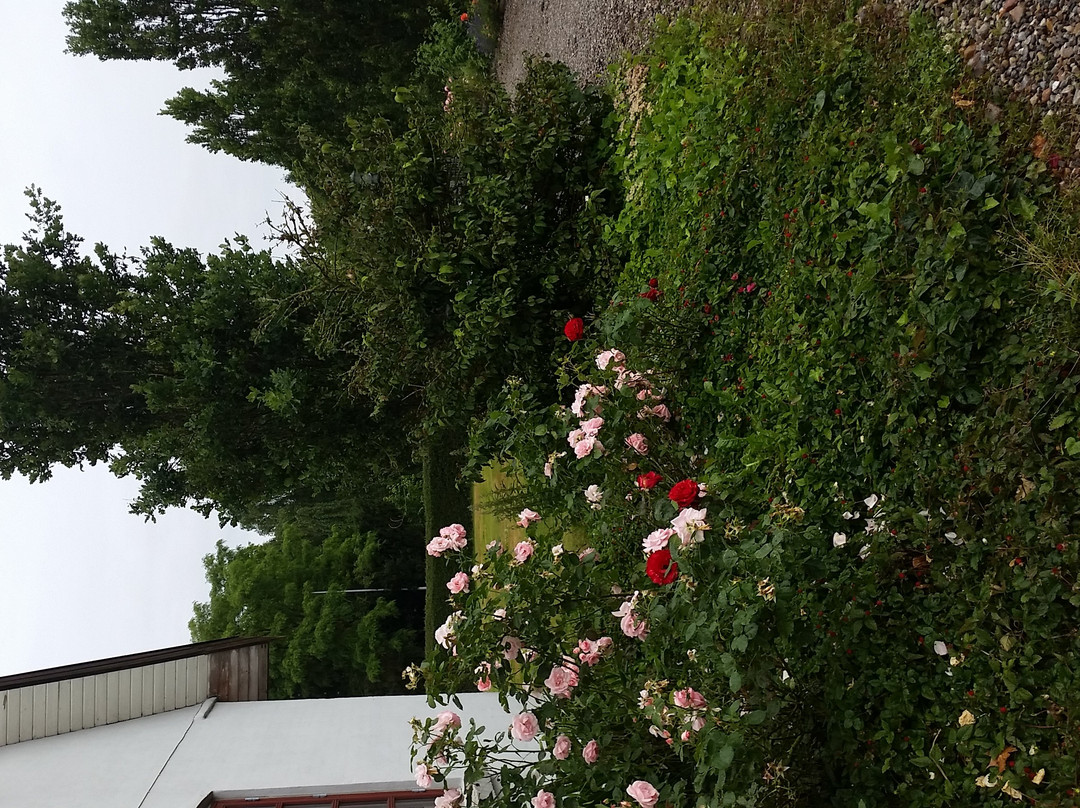 Bergman bed and breakfast