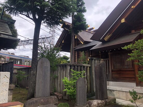 Tenso Shrine-葛饰区必去景点