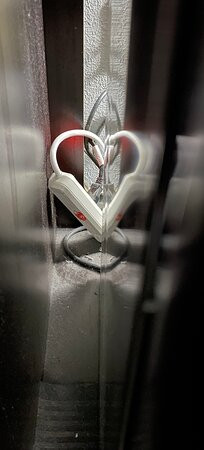 Best Western Inn Florence主图