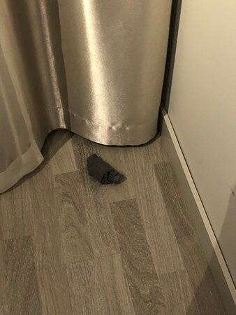 斯堪迪克之星索伦蒂纳酒店主图