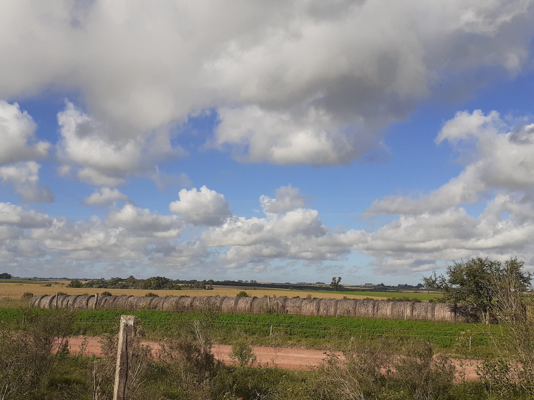 Granja Jacaranda-Carmelo必去景点