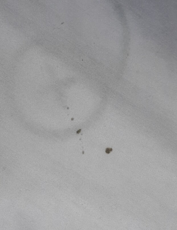 Clarion Pointe Bettendorf - Quad Cities主图