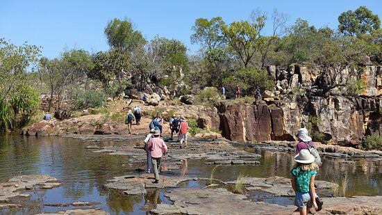 Mitchell River National Park景点图片