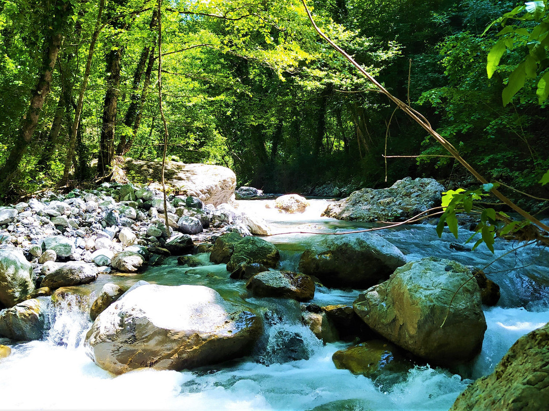 River Trekking Experience景点图片