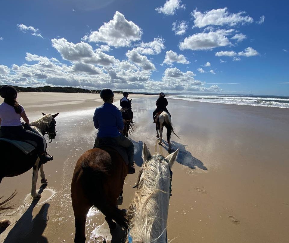 Featherfoot Beach Horse Trails & Riding School景点图片