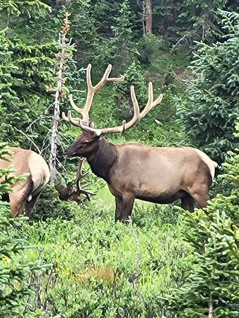 Images of Rocky Mountain National Park-埃斯蒂斯公园必去景点