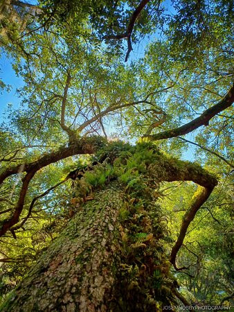 Lake Runnymede Conservation Area-圣克劳德必去景点