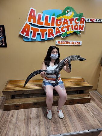 Tampa Bay Rescues-马德拉海滩必去景点