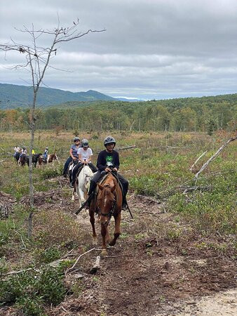 Appalachian Horse Adventures景点图片