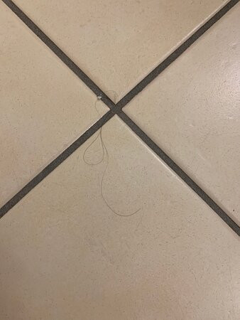 玛丽蒂姆提蒙多夫斯特瑞德俱乐部酒店主图