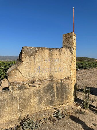 Argiolas Winery-Serdiana必去景点