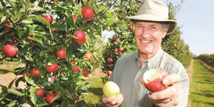 Chudleigh's Entertainment Farm-Milton必去景点