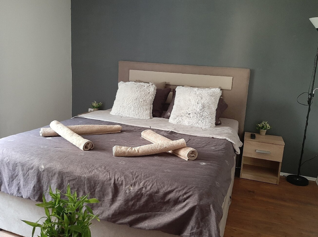 Apartman Živković