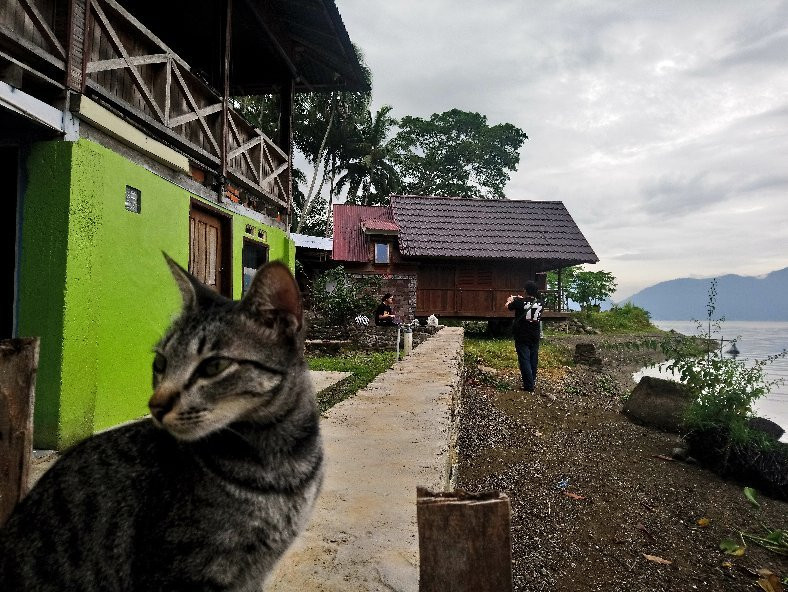 Eka's Bungalows主图