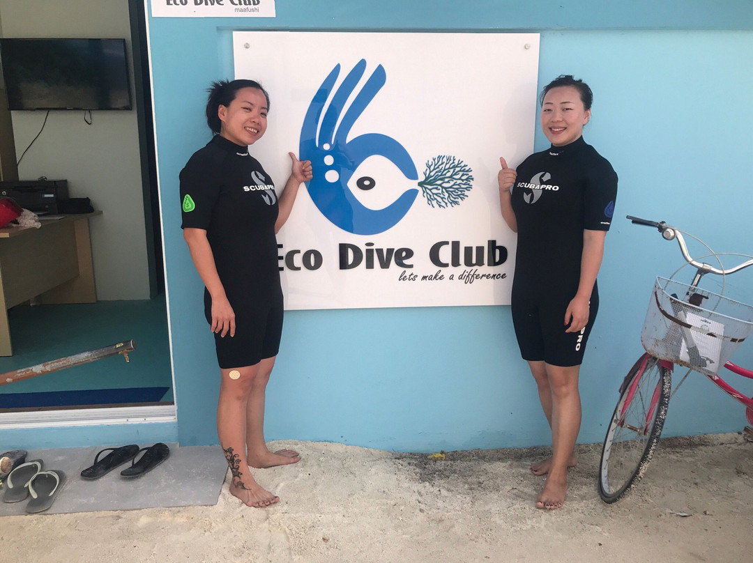 Eco Dive Club景点图片