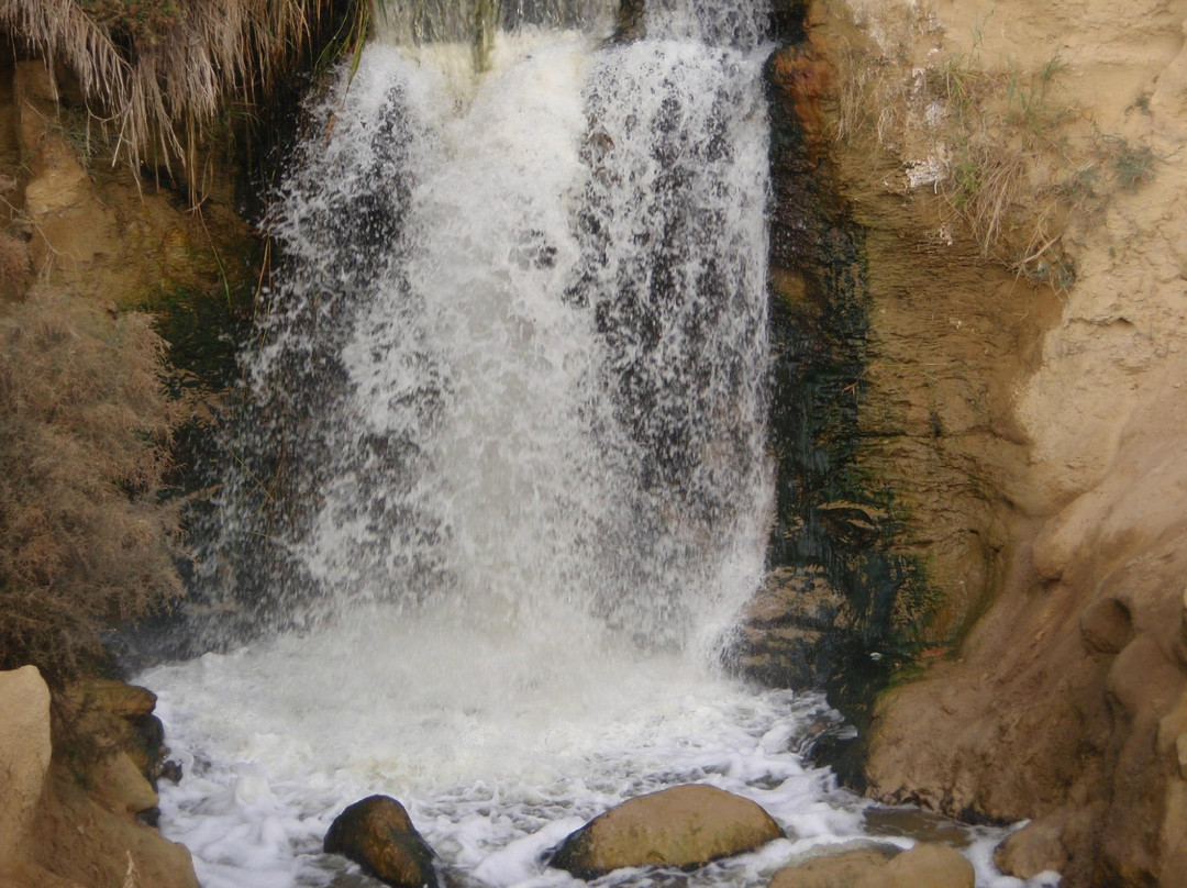 Fayoum Oasis-法尤姆必去景点