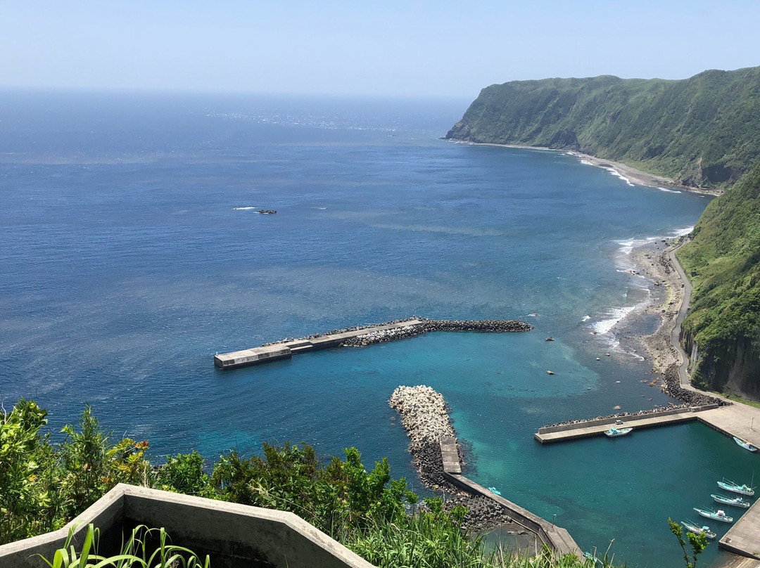 八丈町旅游攻略图片