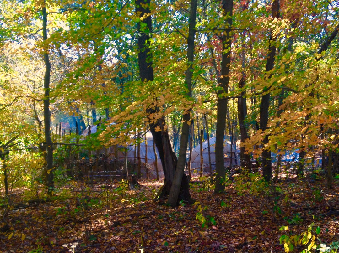 Avella旅游攻略图片