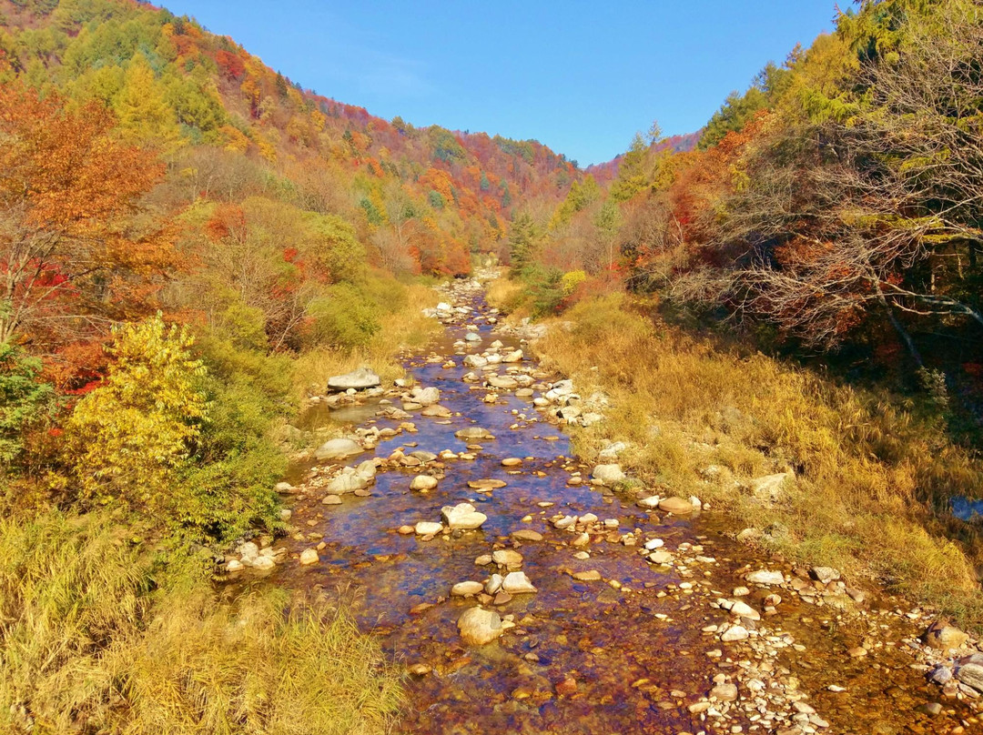 Odaesan National Park景点图片