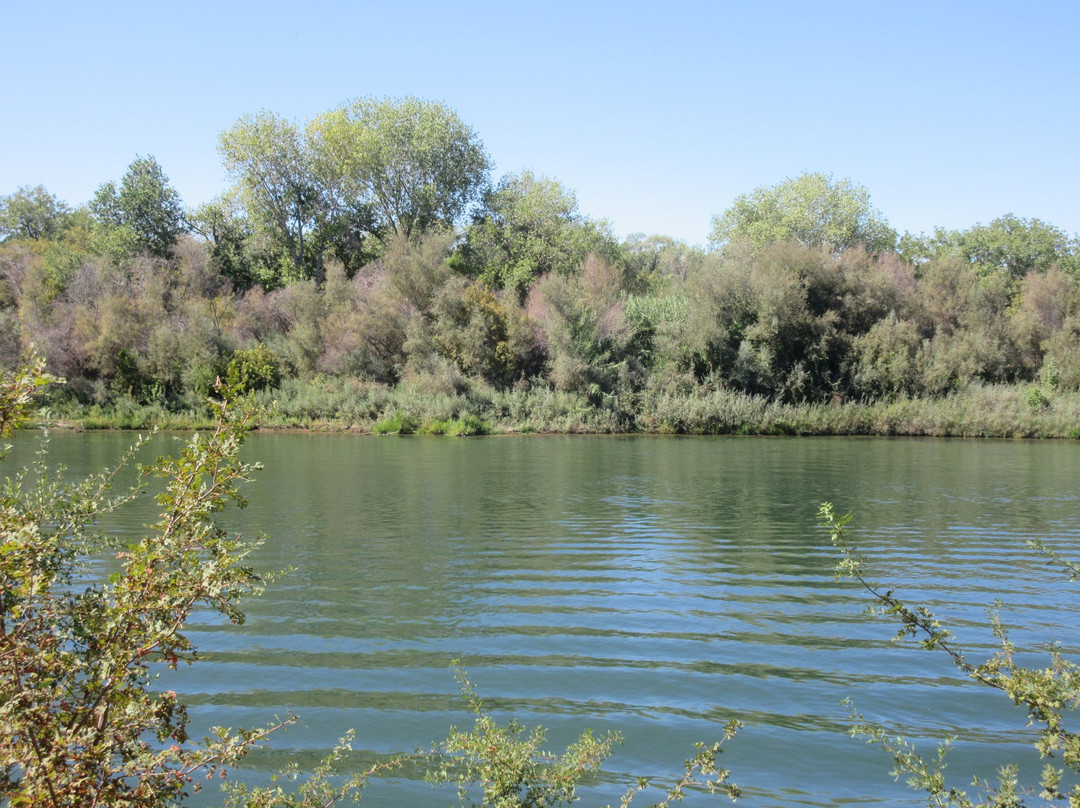 Corning旅游攻略图片