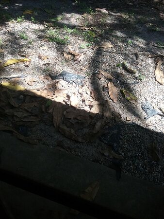Bribie Island Hotel-酒店景观
