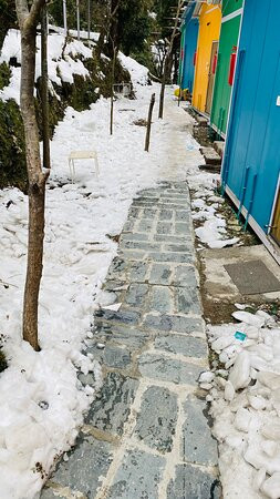 Nazaara Nature Retreat, Dalhousie主图