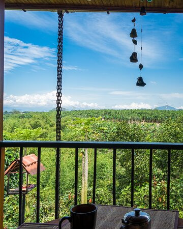 IBANA Colombia-佩雷拉必去景点