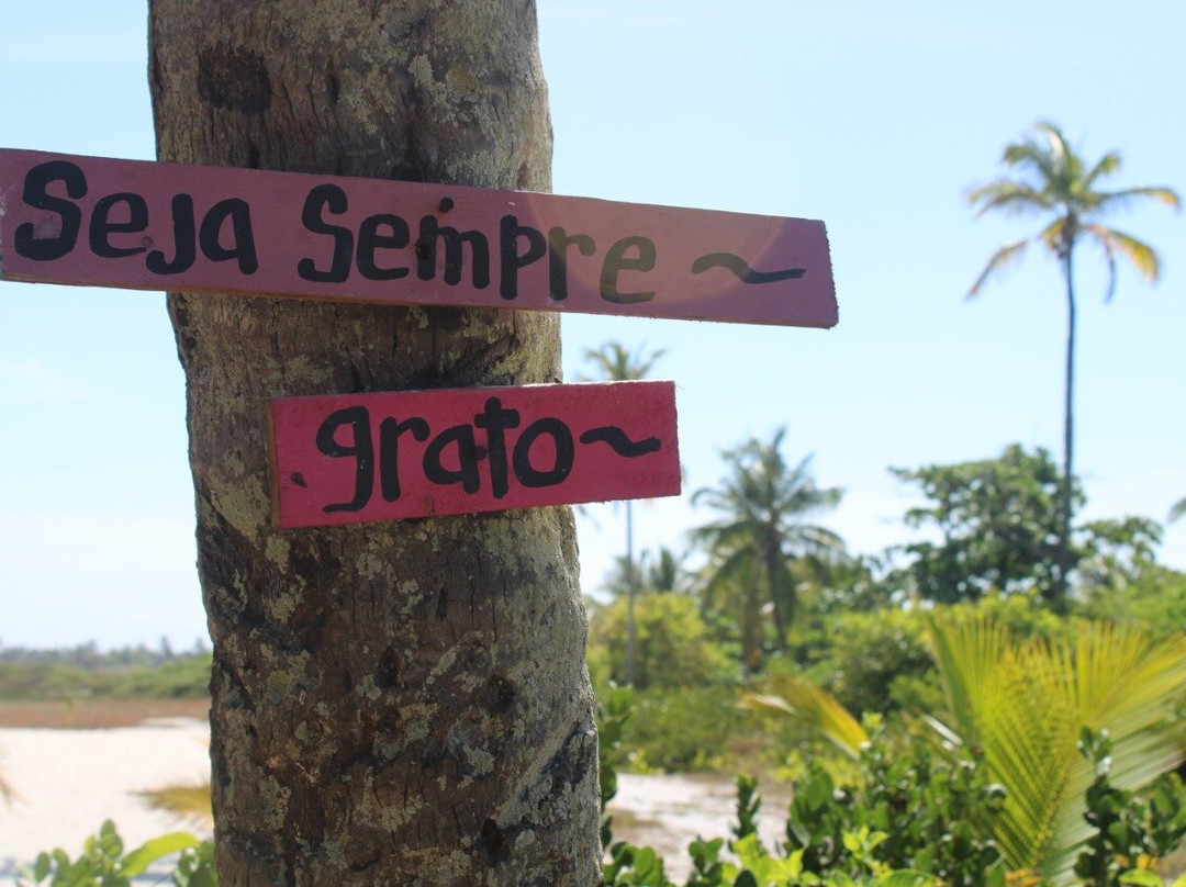 Aldeia Hippie-Arembepe必去景点