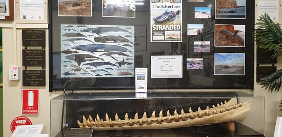 Ardrossan Museum And Information Centre-Ardrossan必去景点