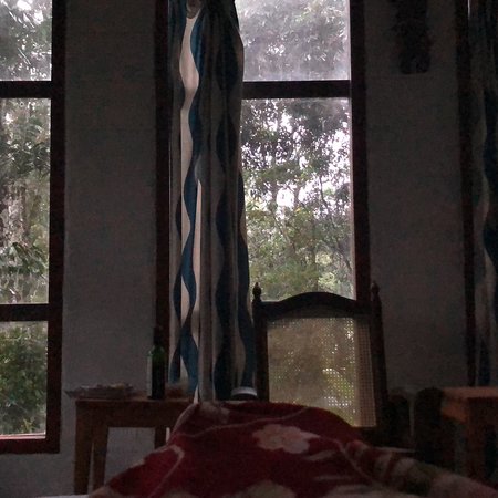 Jungle Jive Tree House Munnar-酒店景观