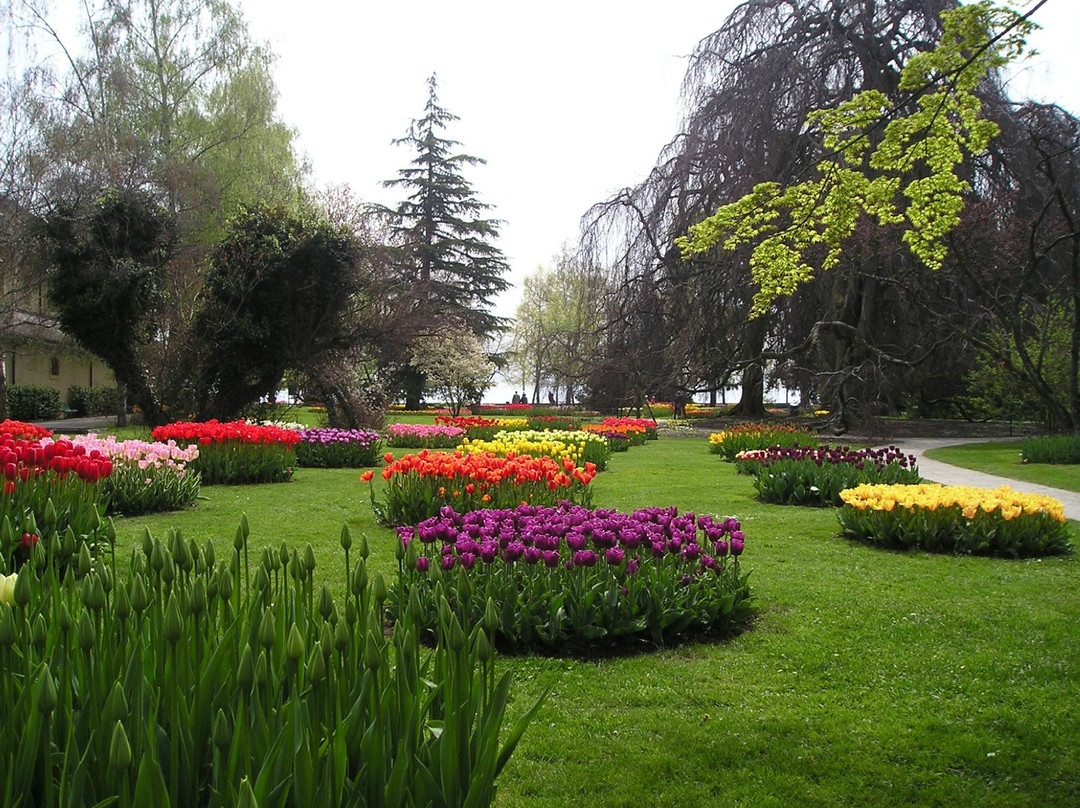 日内瓦旅游景点-Conservatoire et Jardin botaniques de Genève
