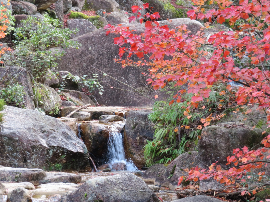 Momijidani Park景点图片