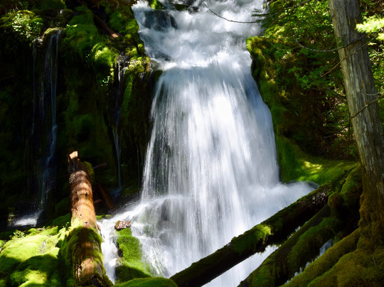 Trout Lake旅游攻略图片