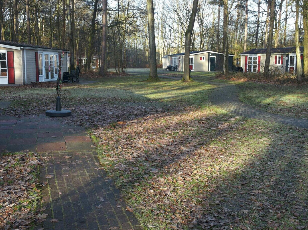 Roompot Bospark Lunsbergen